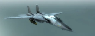 F-14 | H.A.W.X Wiki | Fandom
