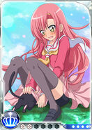 Hinagiku HN Card 01+++