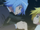 Hayate no Gotoku! CAN'T TAKE MY EYES OFF YOU Episode 12