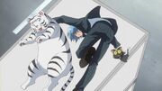 Hayate No Gotoku 8