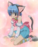 Crossdressing in Neko-mode