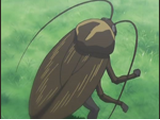 Hayate no Gotoku! Anime Episode List