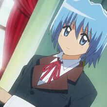 Hayate No Gotoku Op Single Hayate The Combat Butler Wiki Fandom Life koraboreeshon kimi to boku wa mebiusu no konbineeshon love unmei jijou fukuzatsu shinbakusuu joushou. hayate no gotoku op single hayate
