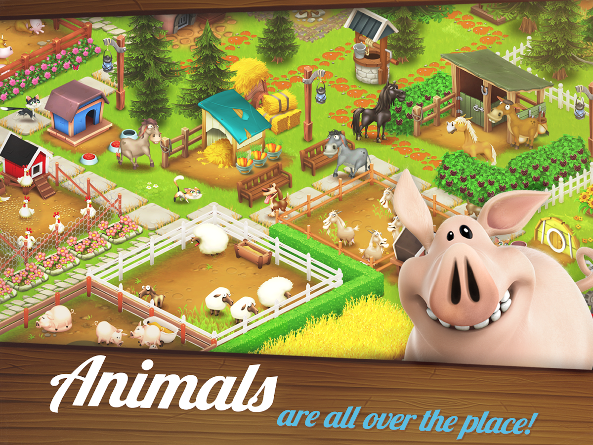 Hay Day | Hay Day Wiki | Fandom