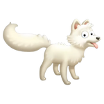 White arctic fox