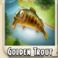 Hay day golden trout clearance