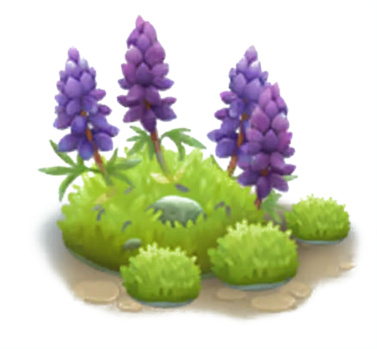 Арктический люпин