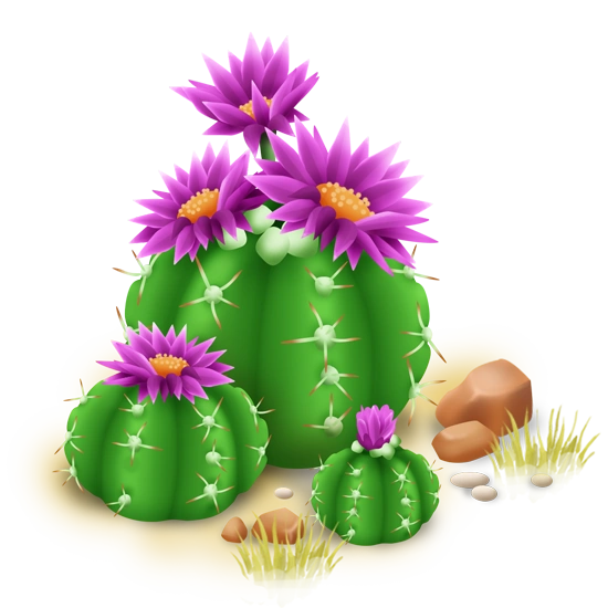 Бочковидный кактус