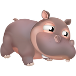 Gray hippo calf