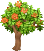 Гранатовое дерево