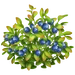 Arándano (arbusto)