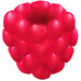 Raspberry