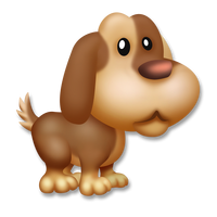 Hound puppy