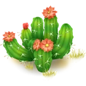 Cactus en flor (cría elefante gris)