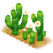Saguaro Cactus (Yellow calf)