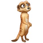 Brown Meerkat