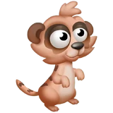 Rotes Erdmännchenbaby