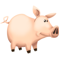 Pig