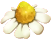 Chamomile