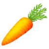 Zanahoria