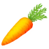 Zanahoria