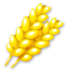 Kategori Grodor Hay Day Wiki Fandom