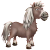 Poni Shetland
