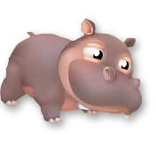 Детёныш серого бегемота