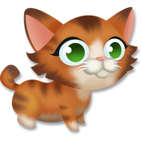 Tabby kitten