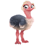 Gray ostrich chick