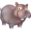 Hipopótamo gris