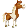 Caballo pinto