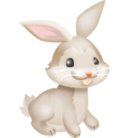 White bunny