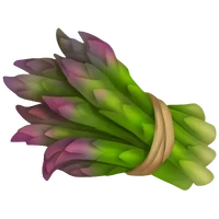Asparagus