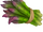 Asparagus.png