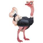 Gray ostrich