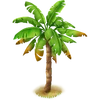 Palmera