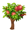 Granatapfelbaum