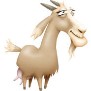 Goat