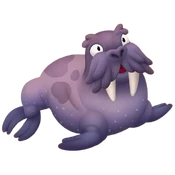 Morsa gris