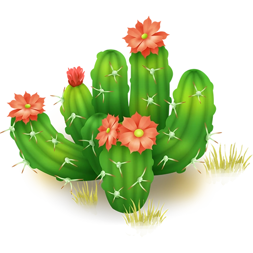 Цветущий кактус