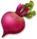 Beetroot