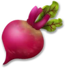 Beetroot Level 72