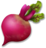 Beetroot