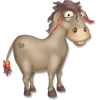 Burro andaluz