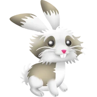 Fluffy bunny