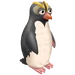 Pingüino gris