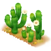 Saguaro