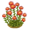 Protea