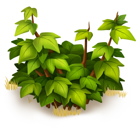 Невысокий куст